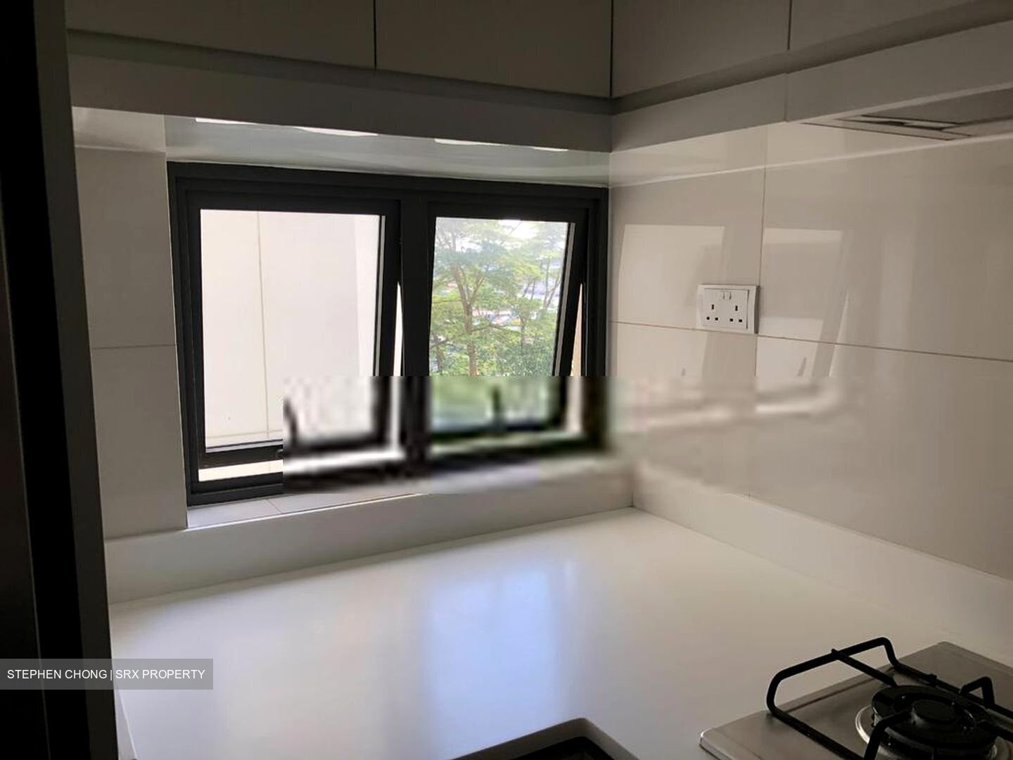 The Skywoods (D23), Condominium #456185761